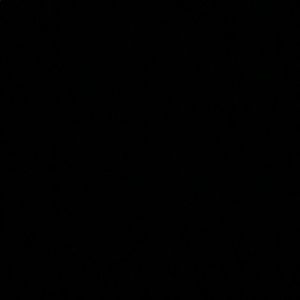 Meet your Posher, Ingrid